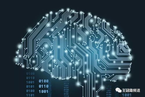 贝贝网的场景革命 创新升级如何重塑网络消费生态